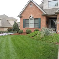 Crab Grass Control, Kingsport, TN