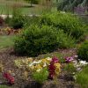 Garden Landscaping in Bristol, TN